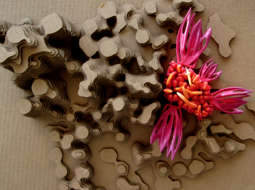 Screen Shot 2016-07-17 at 9.21.23 AM.png