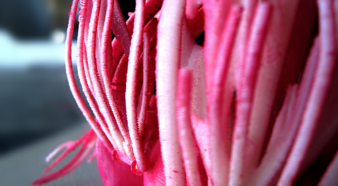 Screen Shot 2016-07-17 at 9.20.32 AM.png