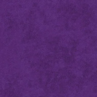 MASF513-VRJ1__35884.jpg