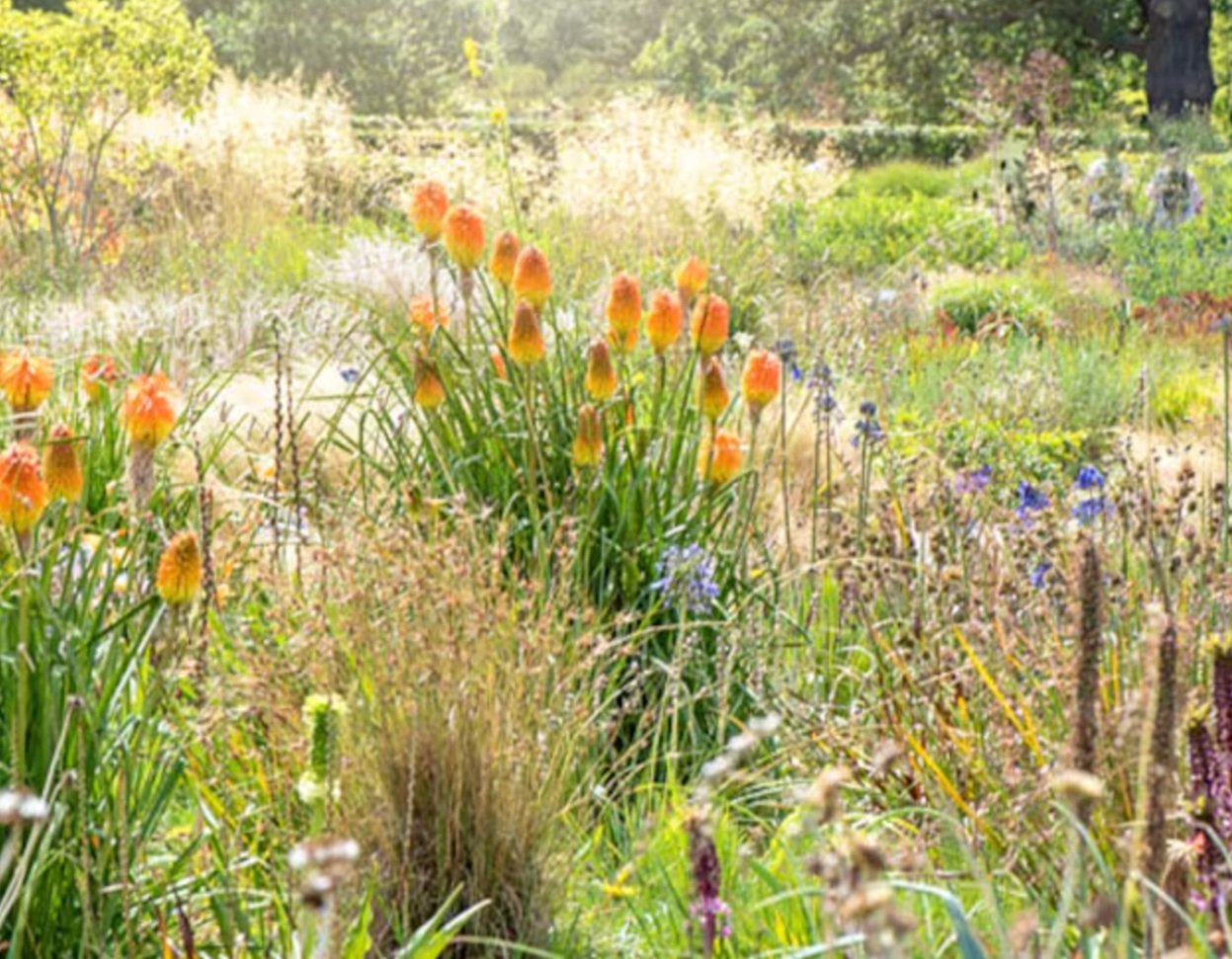 9 Next-Level Outdoor Upgrades
