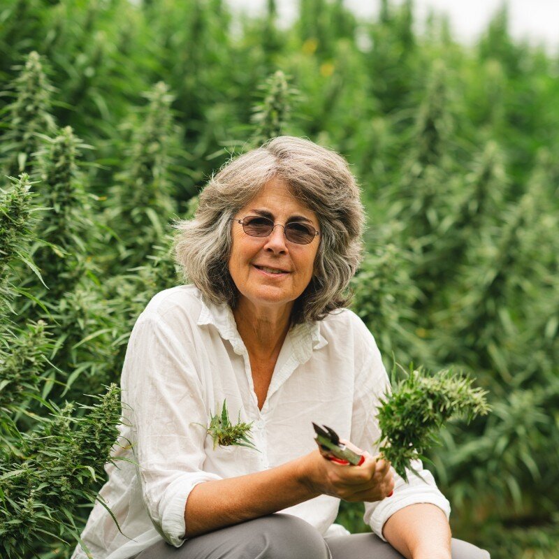 The Cannabis Business Coach