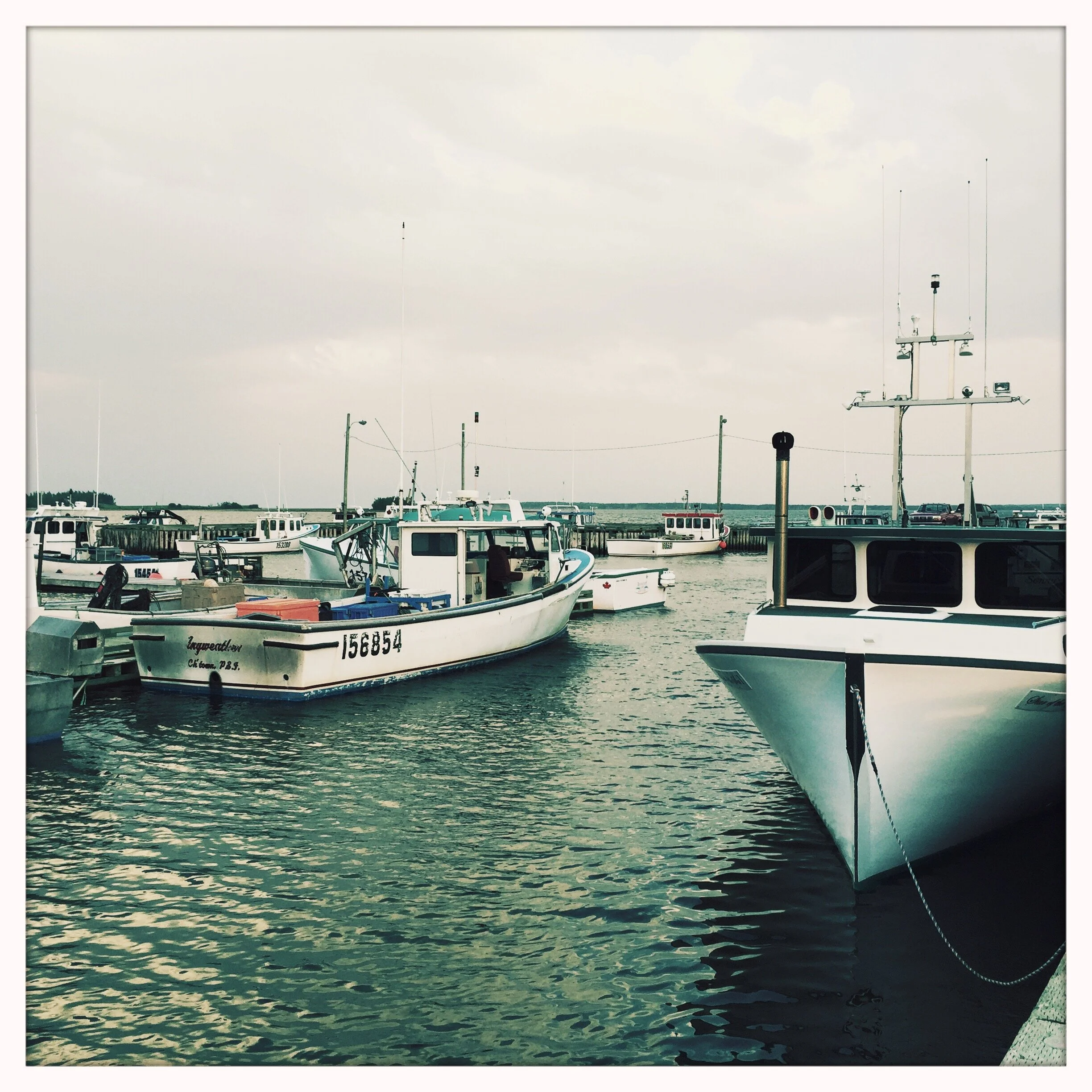 Lobster fleet - Prince Edward Island