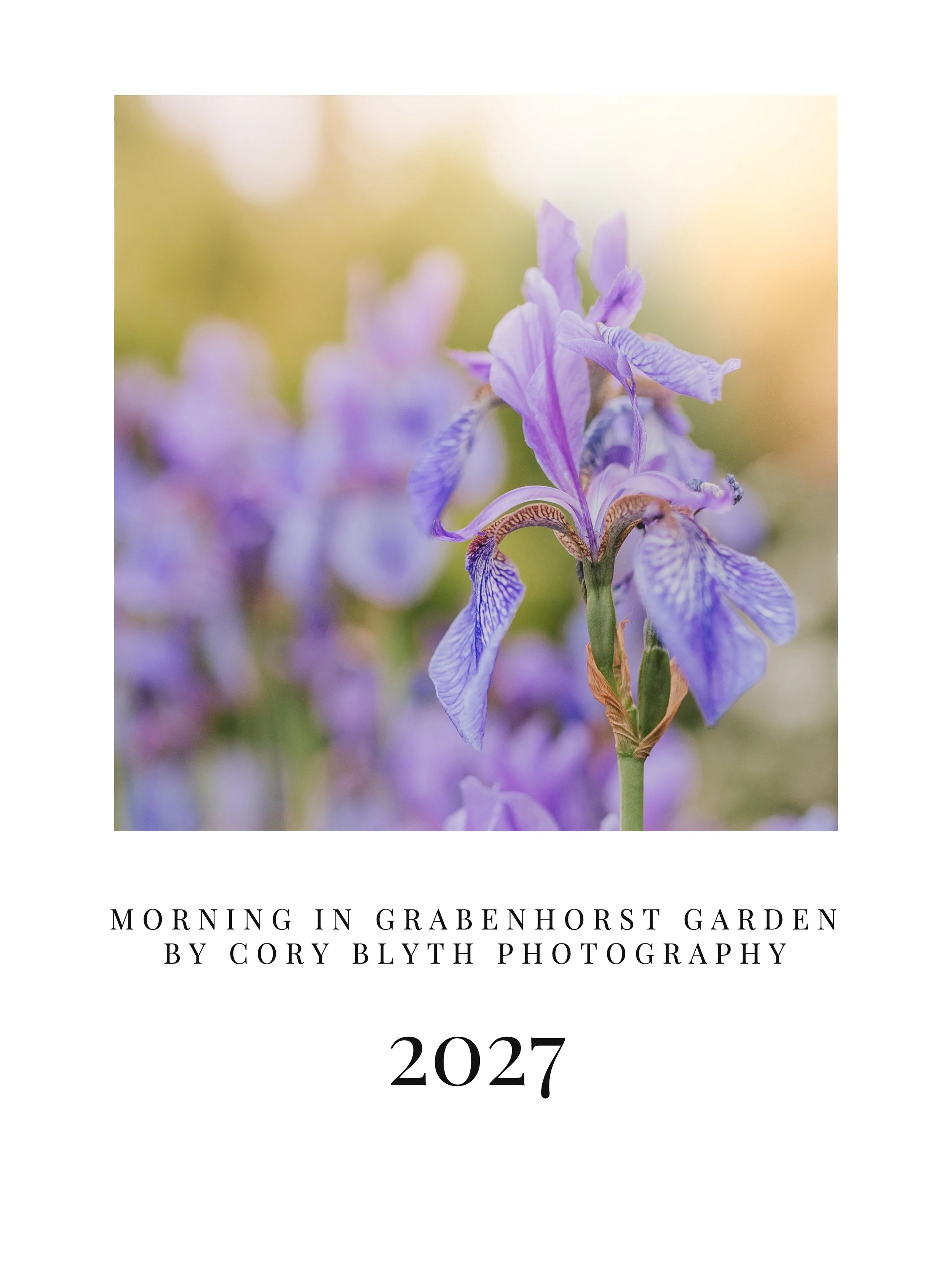 01-cover.jpg