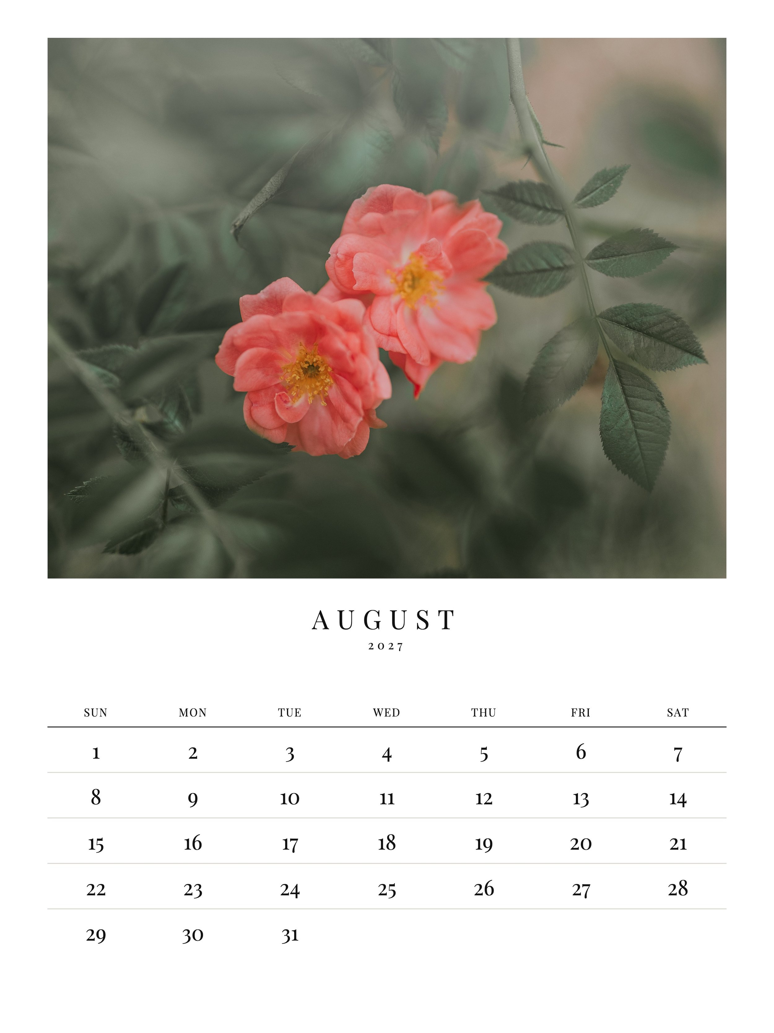 09-august.jpg