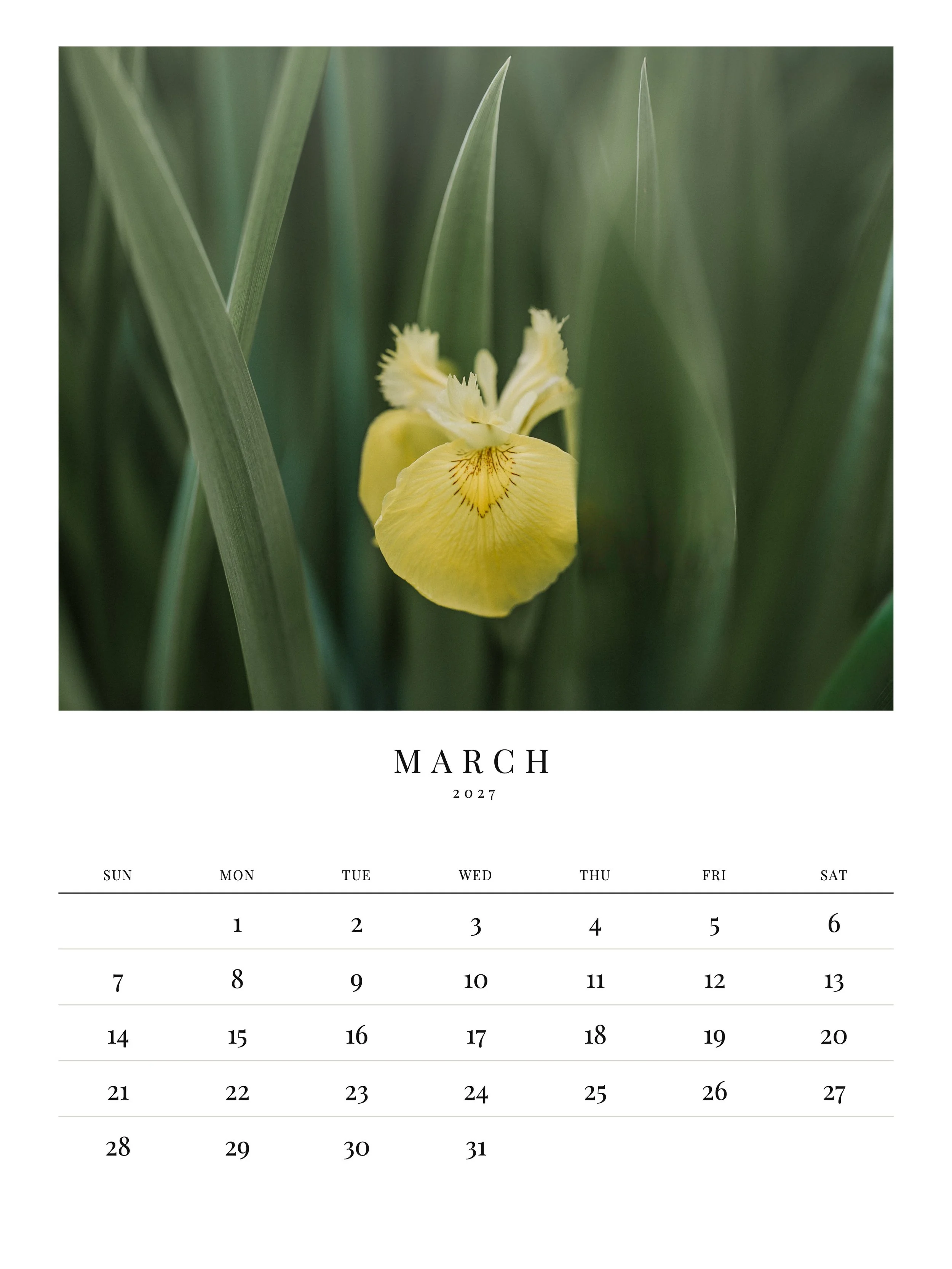04-march.jpg