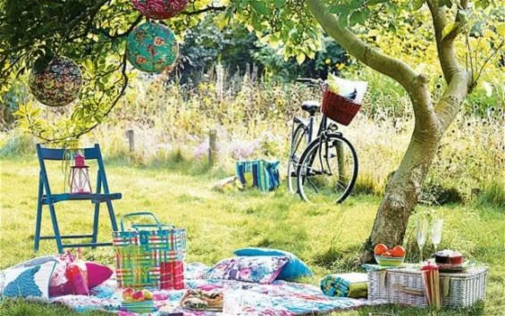 summer picnic 2.jpg