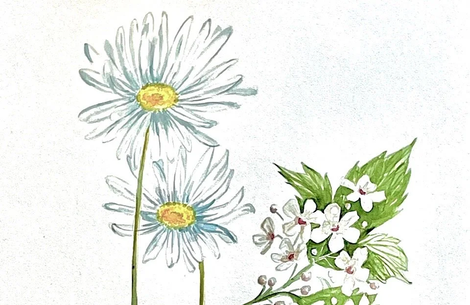 Weeds &amp; Wildflowers (5th Annual!)