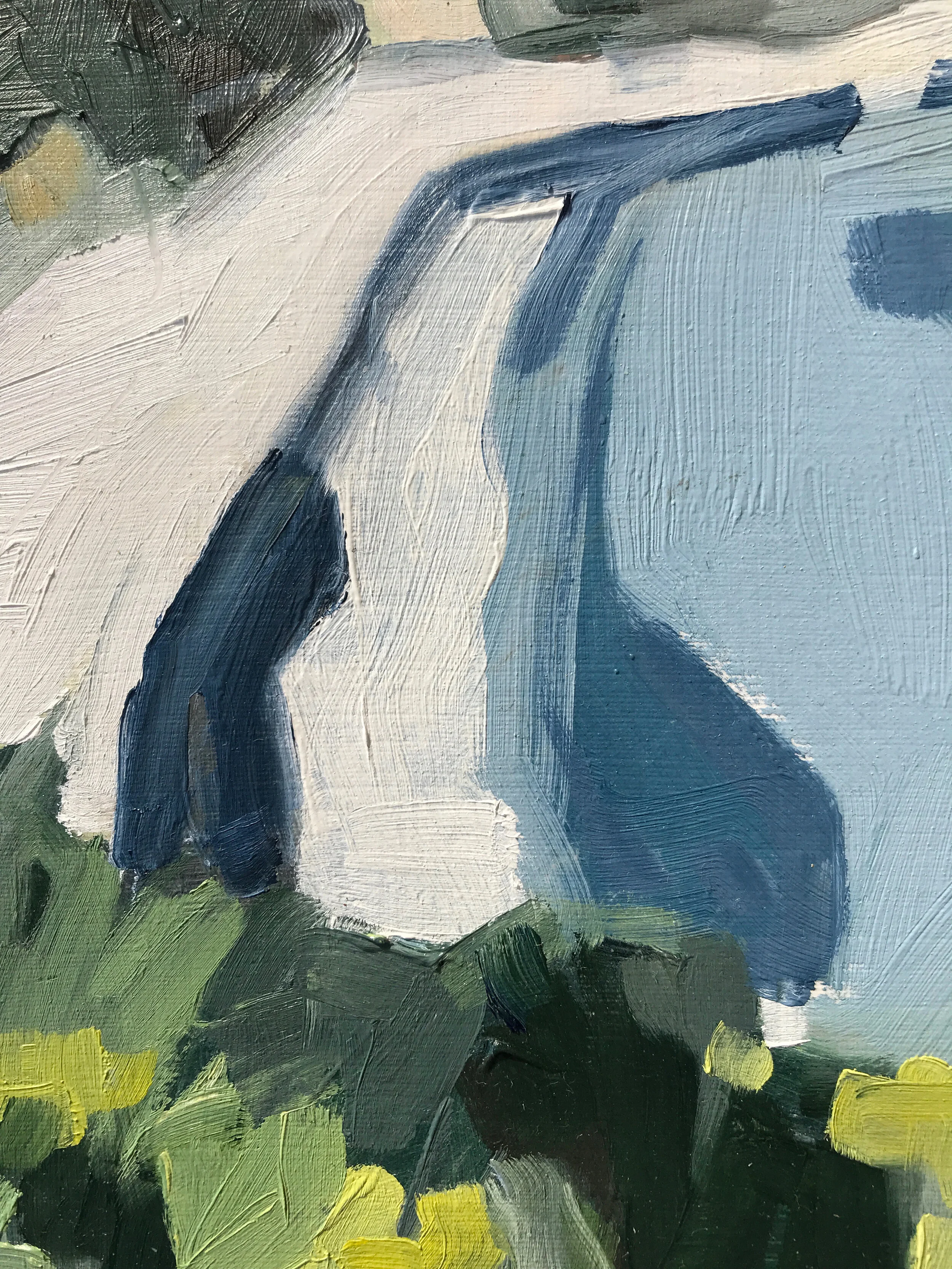 looking south detail.jpg