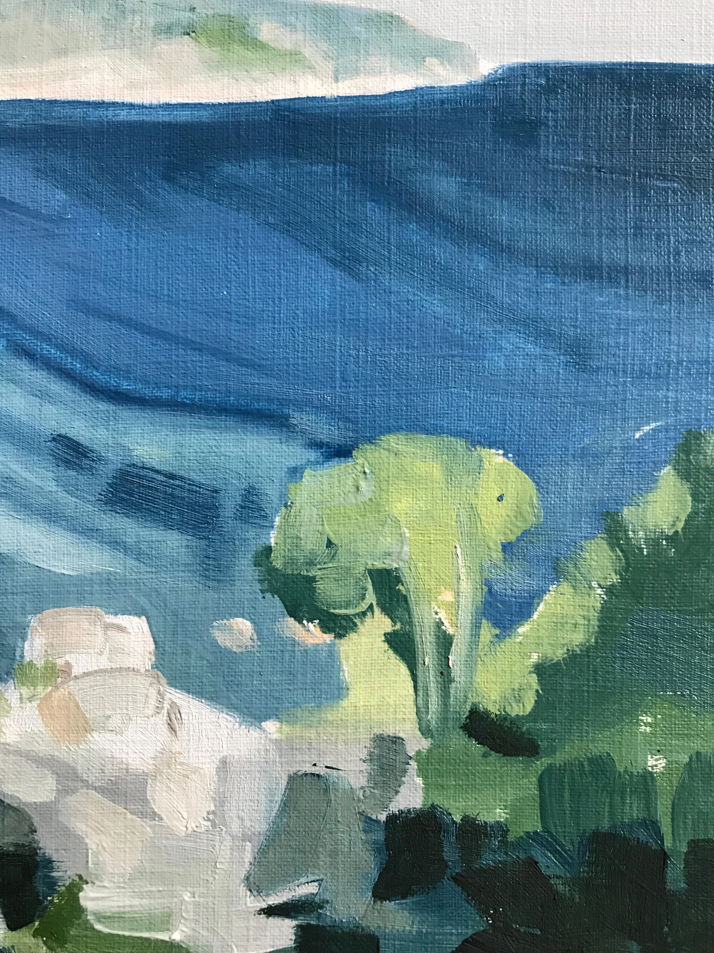Wilsons Prom detail 2.jpg