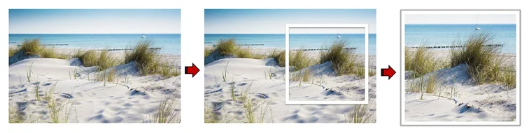  Full scene Assessing and selecting the scene Section cropped 
