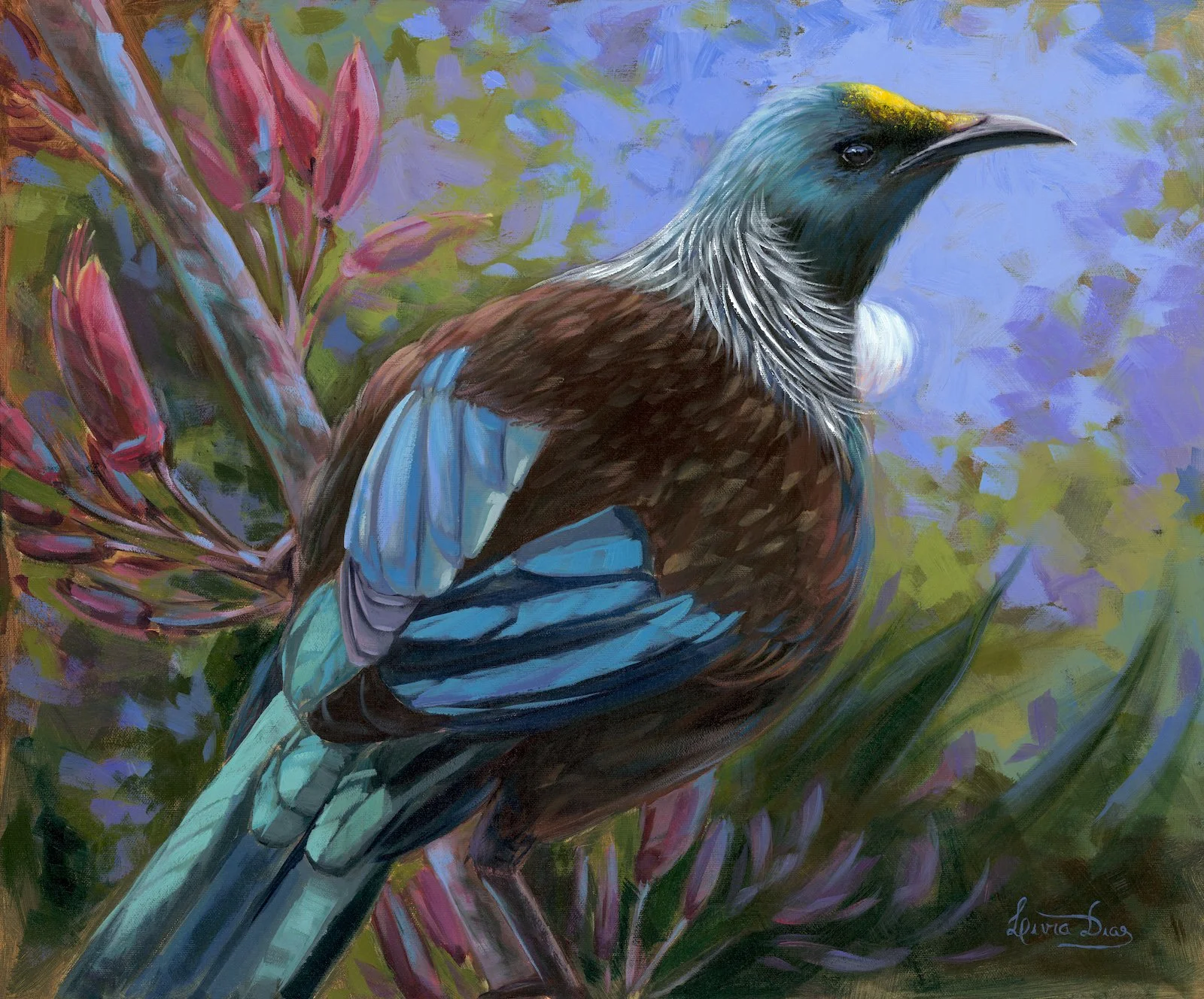 Tui Bird Livia Dias FB AD.jpeg