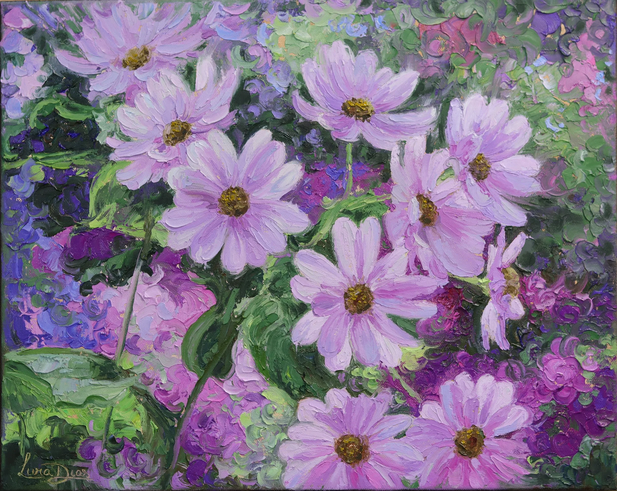 CINERARIAS-LIVIA DIAS.JPG