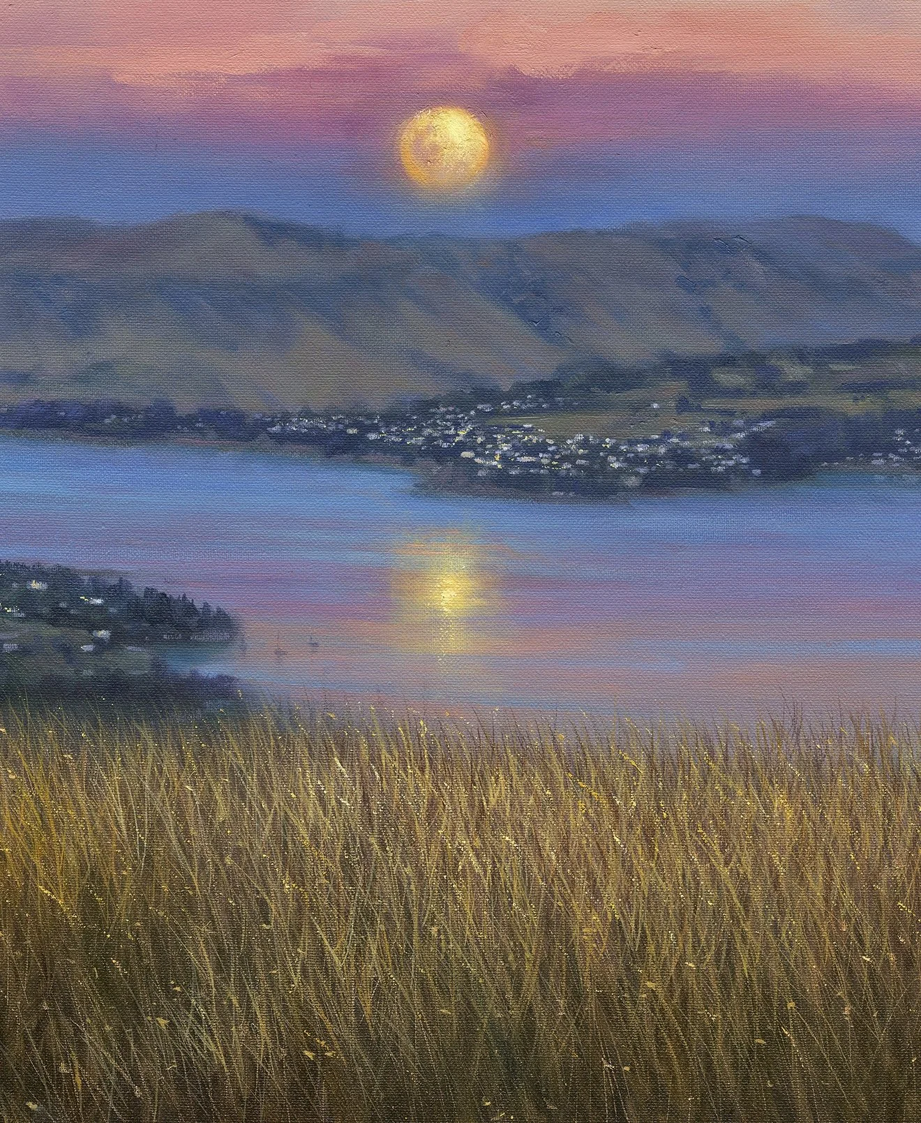 Livia Dias Moonrise over Lyttelton Harbour Det.jpg