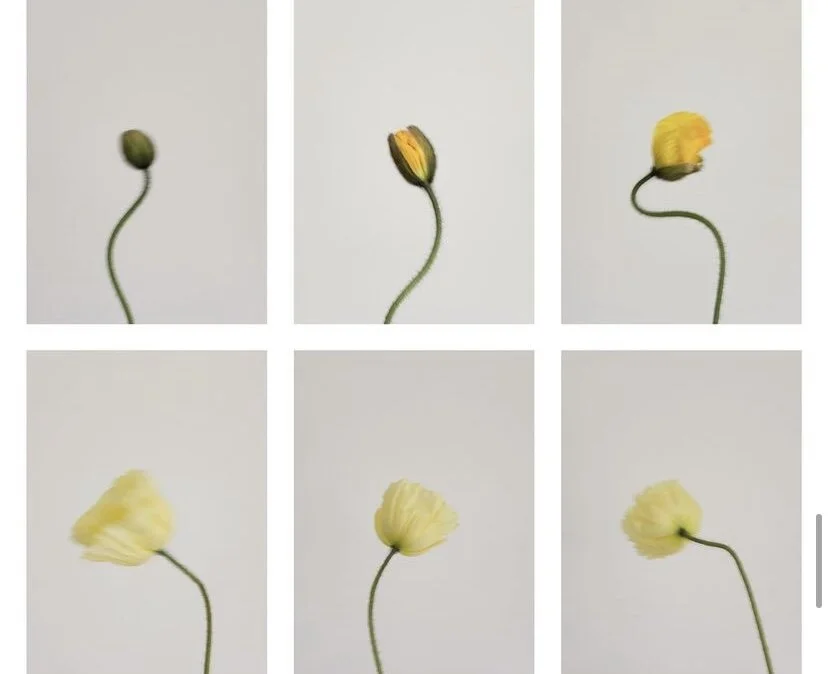 Even In Climate Crisis, There Is Hope (IWIK)