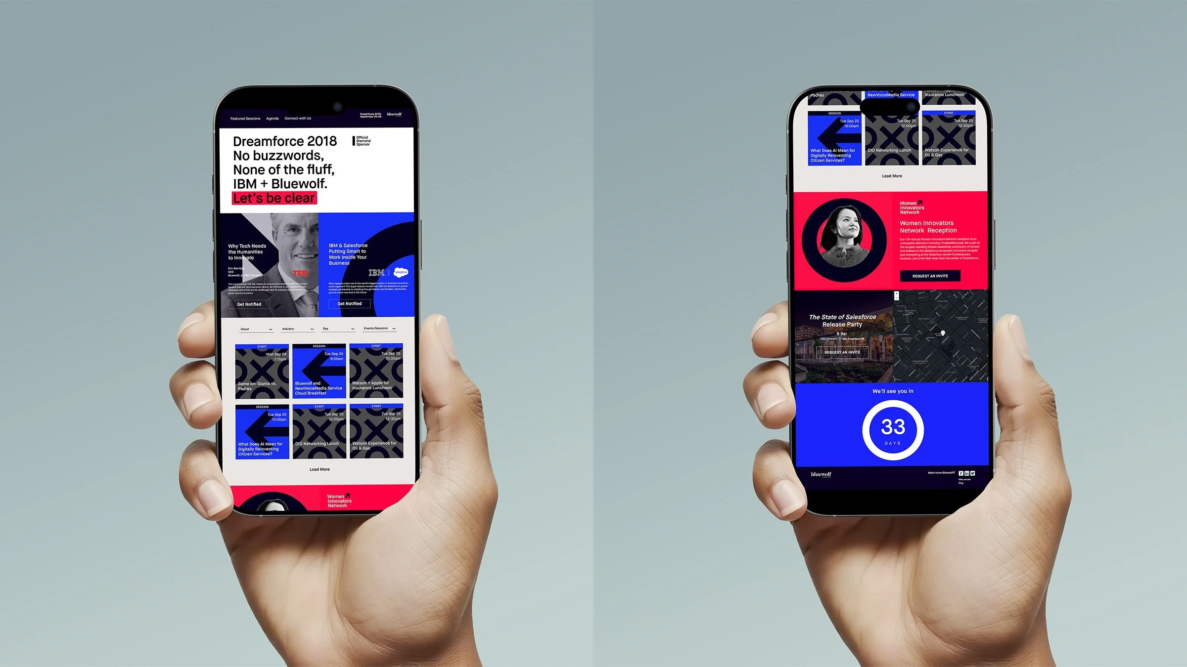 IBM_BLUEWOLF+Dreamforce+microsite.jpg