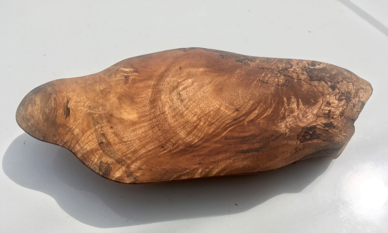 Mango with Eucalyptus Feet