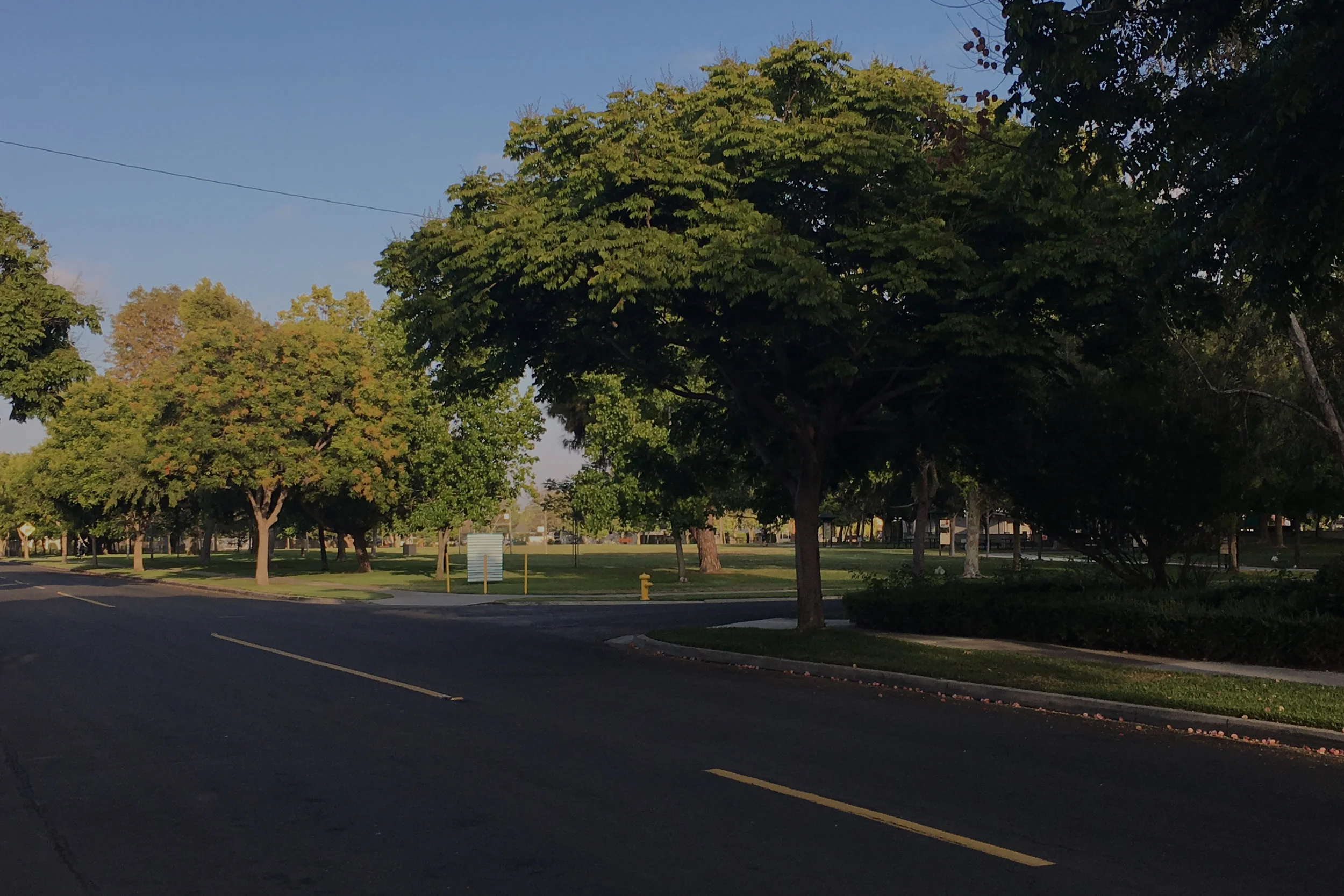 08 Rossmoor 2.jpg