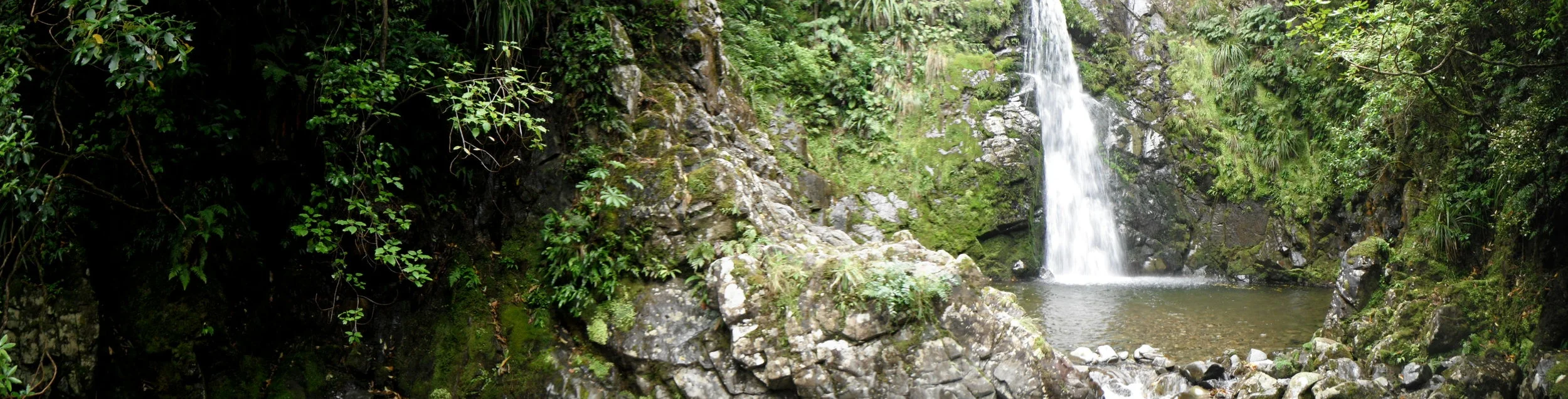 DSCF1037.JPG