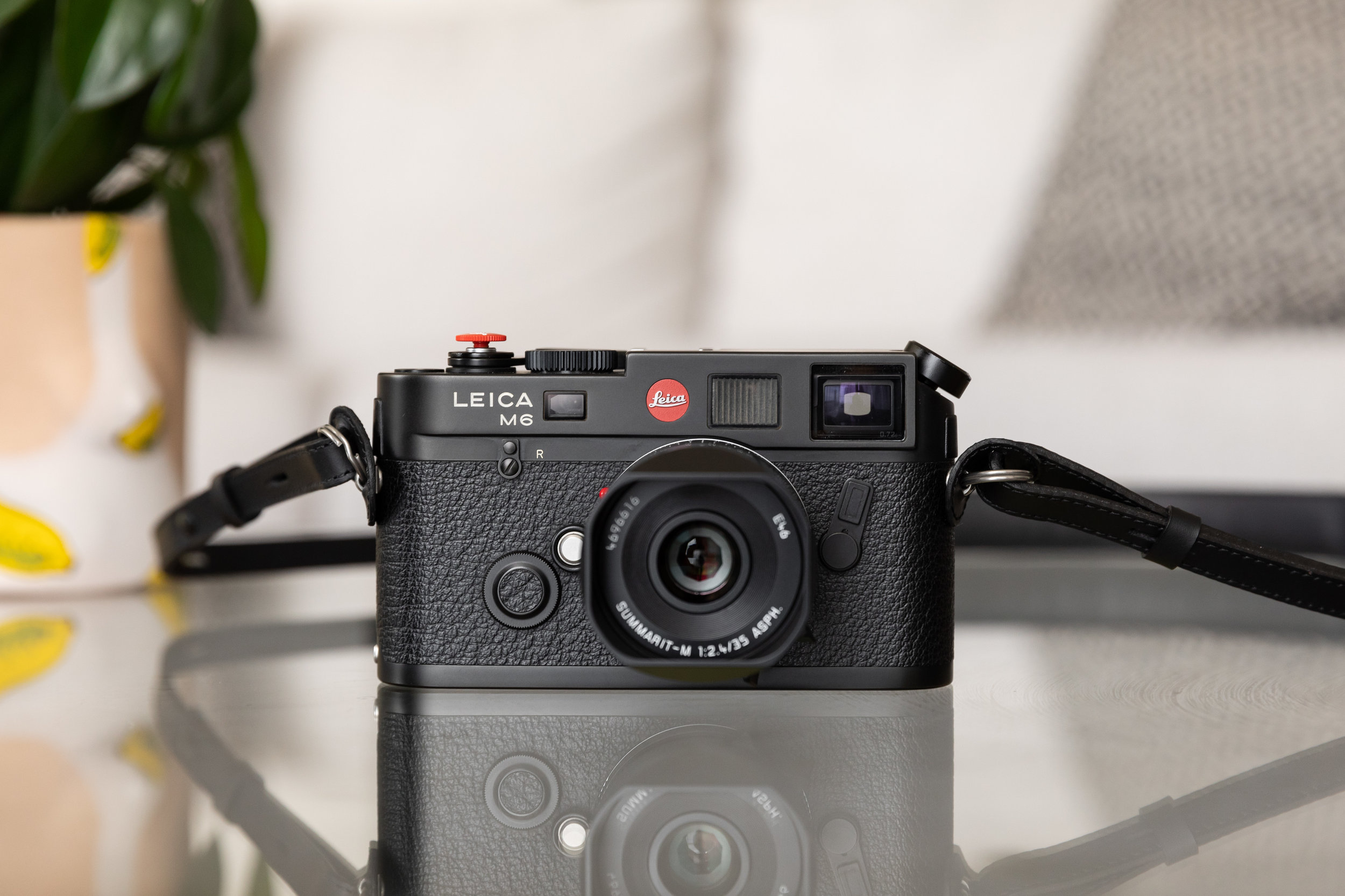 Leica M6 Buyer's Guide — Gigi Song - Photographer