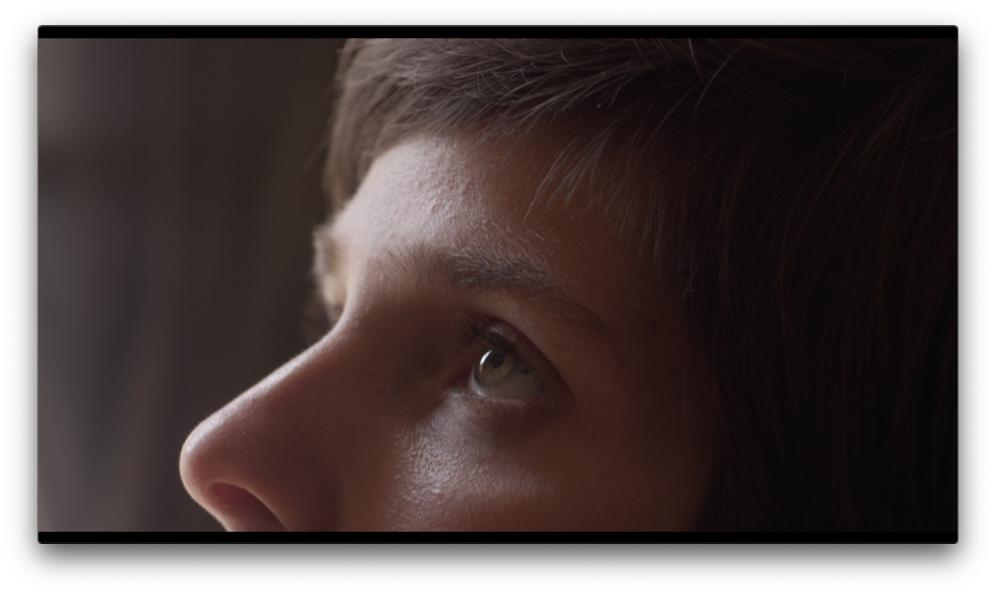 Screen Shot 2019-01-30 at 9.39.43 PM.png