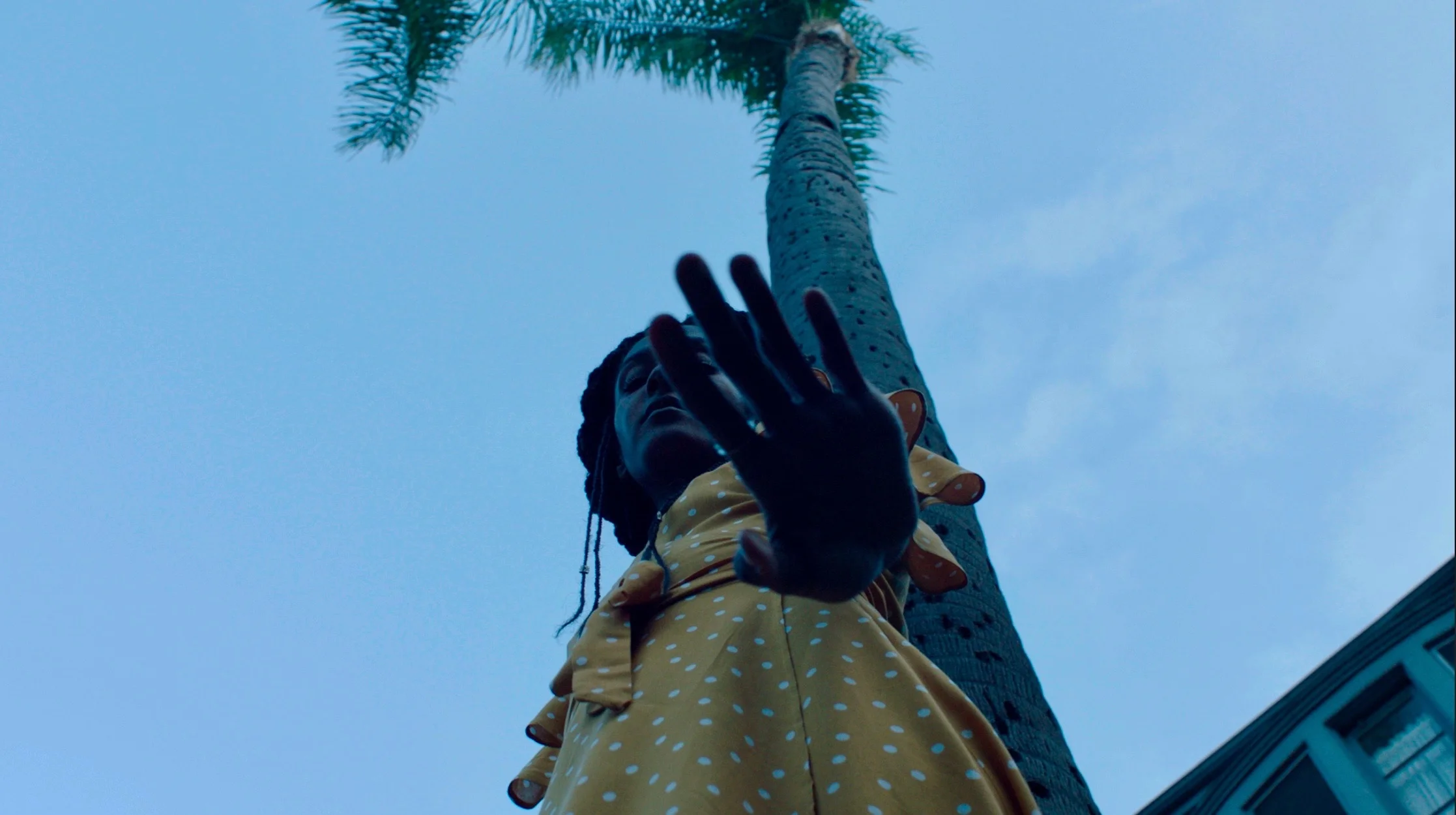 Screen Shot 2019-05-29 at 5.19.14 PM.jpg