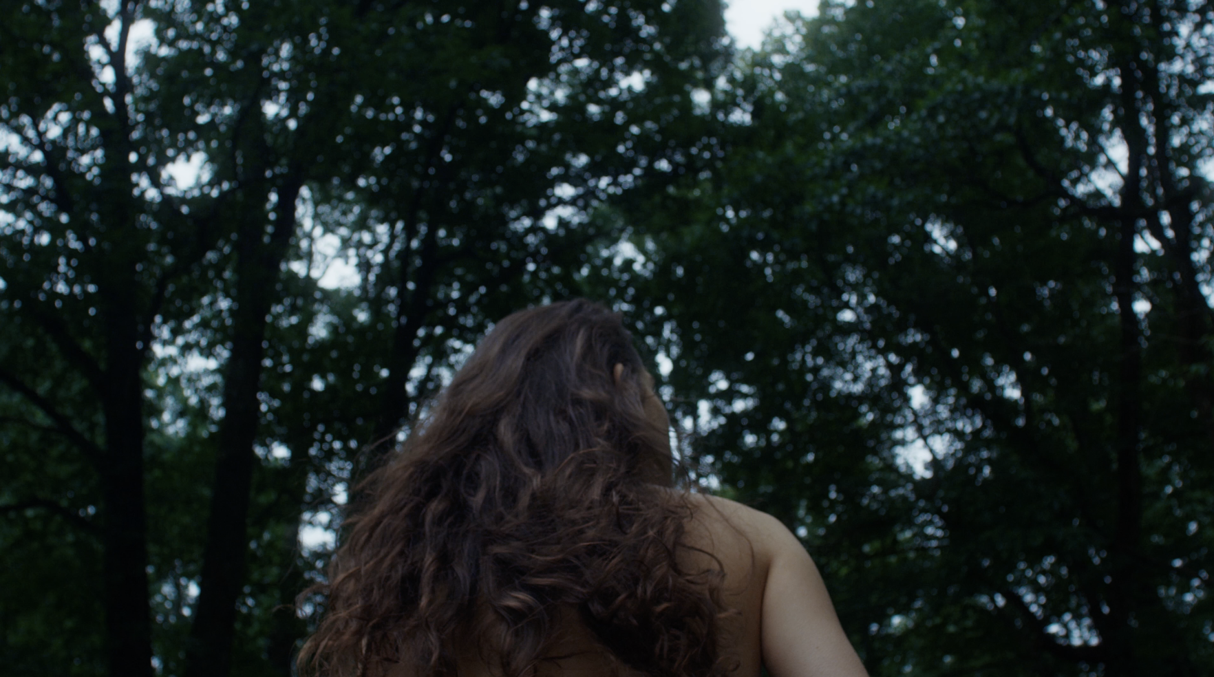 Screen Shot 2019-08-06 at 5.08.04 PM.png