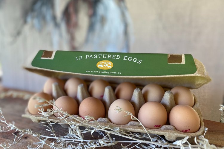 Eggs Pastured Free Range - Limited