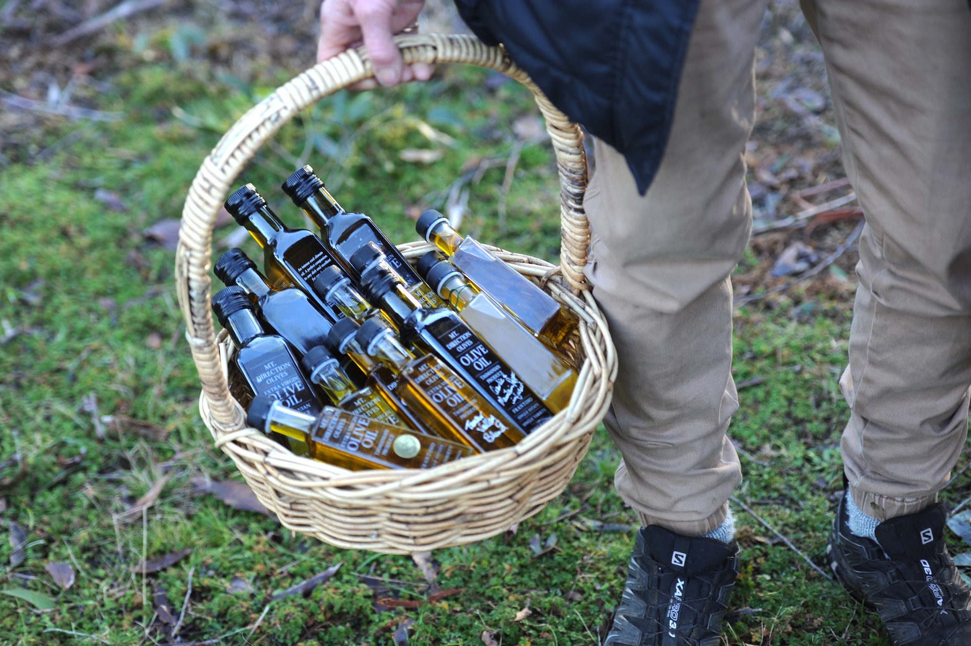 Mt Direction Olivers - online store1.jpeg