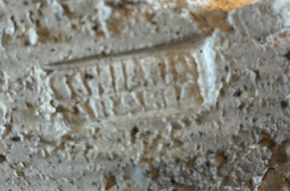 20C9F491-E03B-44CE-8D41-E9DD051C7044