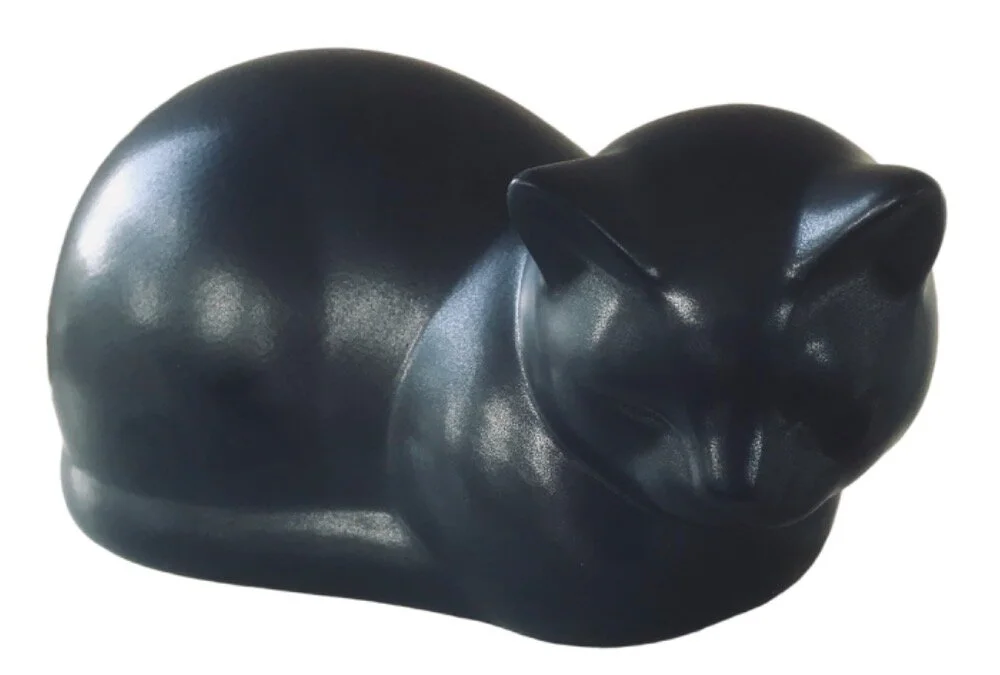 99F36B7E-F4C7-42A2-A802-D0978FFAA930