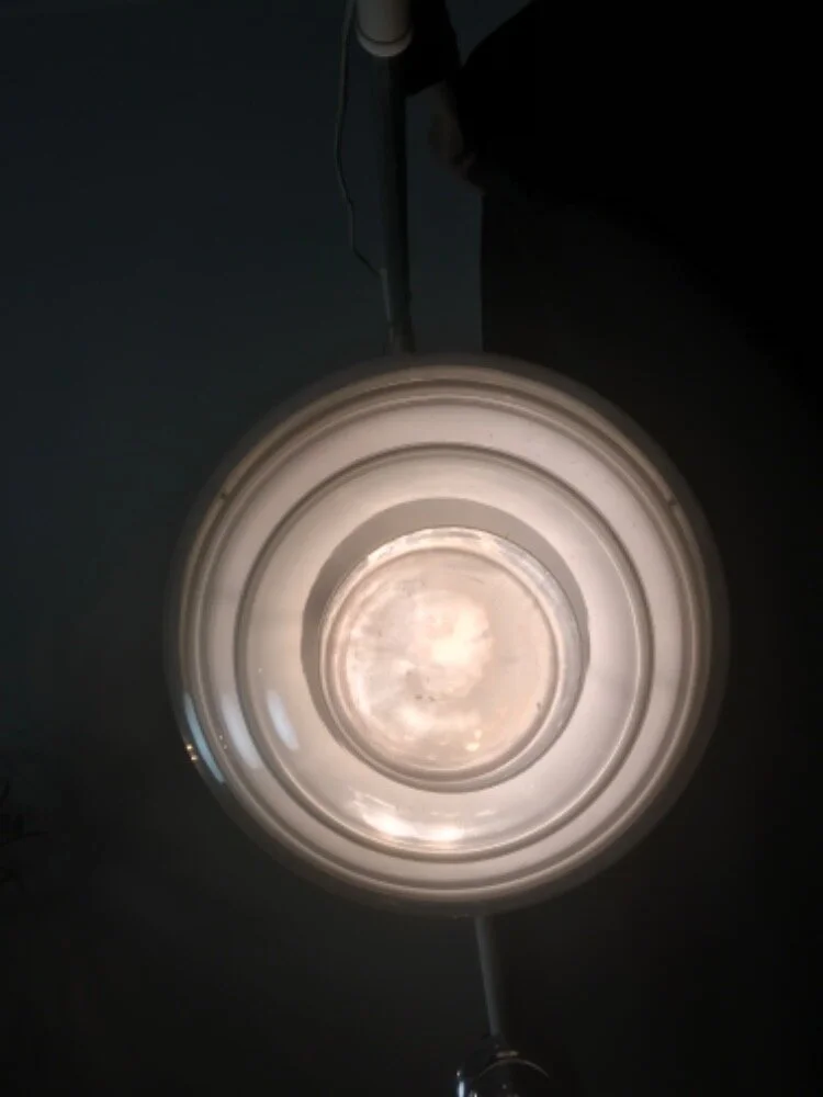 1E7F9F51-3702-491B-990C-B0DF4B0F9A14