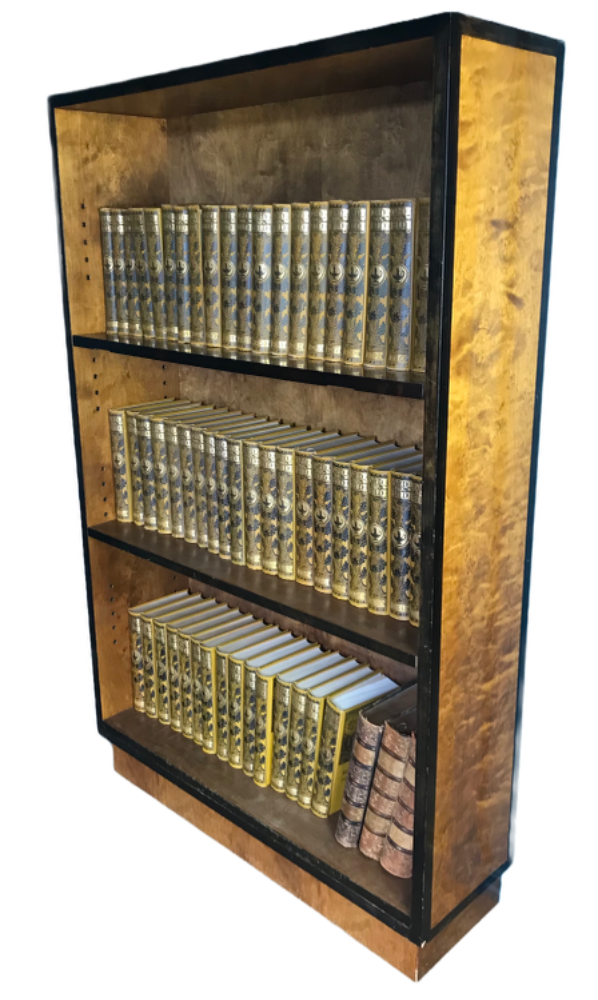 41C1F9F1-6E5F-4365-8C56-C25D9D86DD22