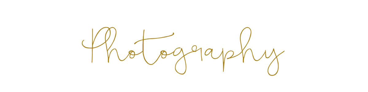 Copy of photography 1.png
