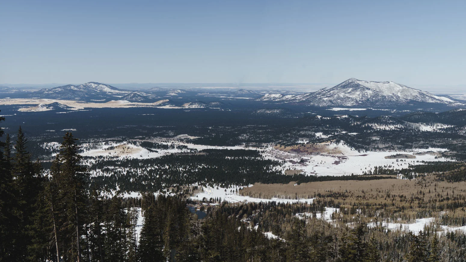 Fresh Powder at Arizona Snowbowl