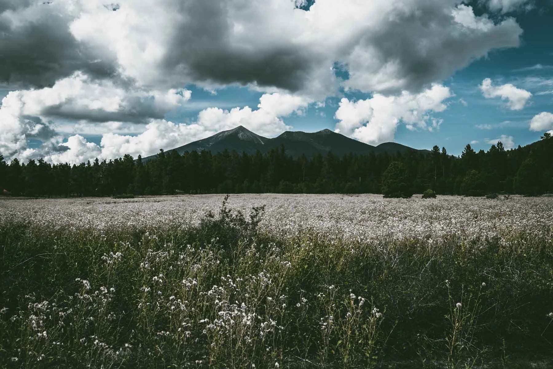 Flagstaff, Arizona San Francisco Peaks