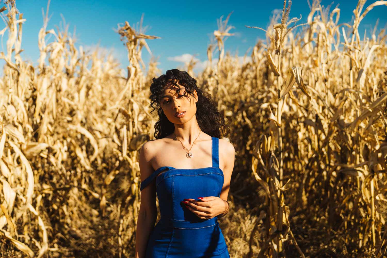 Cornfield Photoshoot_JasGold.jpg