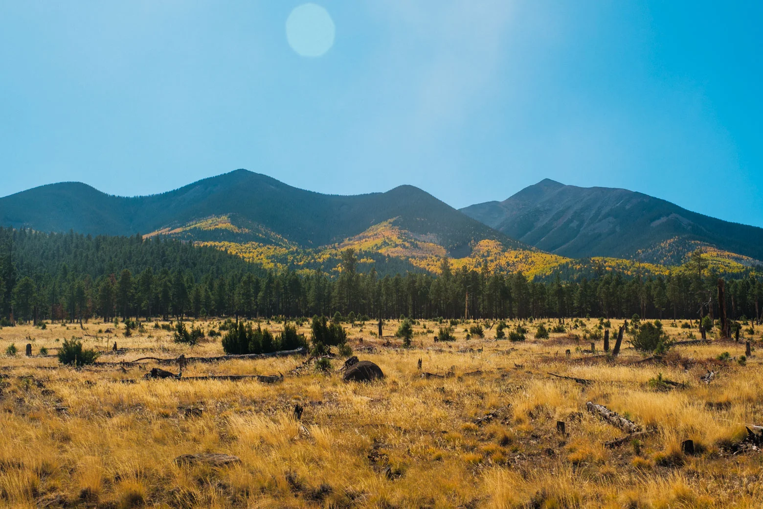 Fall in Flagstaff, Arizona
