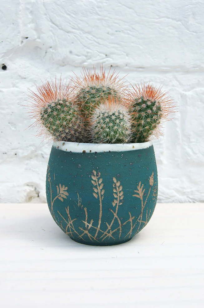 Meadow mini-beaker / blue-green