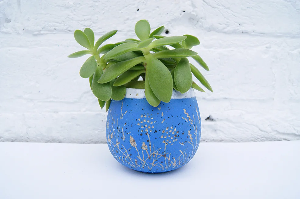Meadow beaker / medium blue
