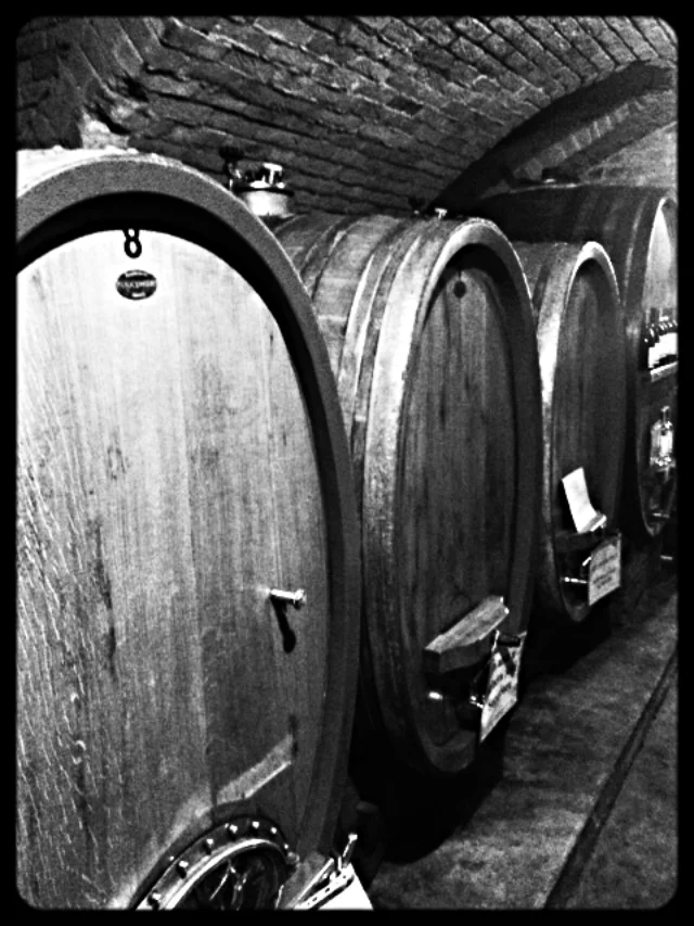 acacia barrels _ Roera.JPG