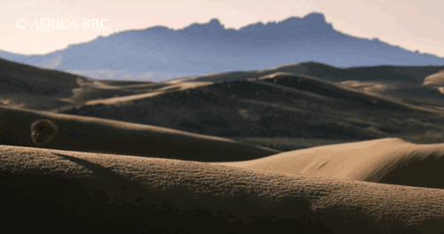 A deserted blog can cost you time and resources. (Image source )