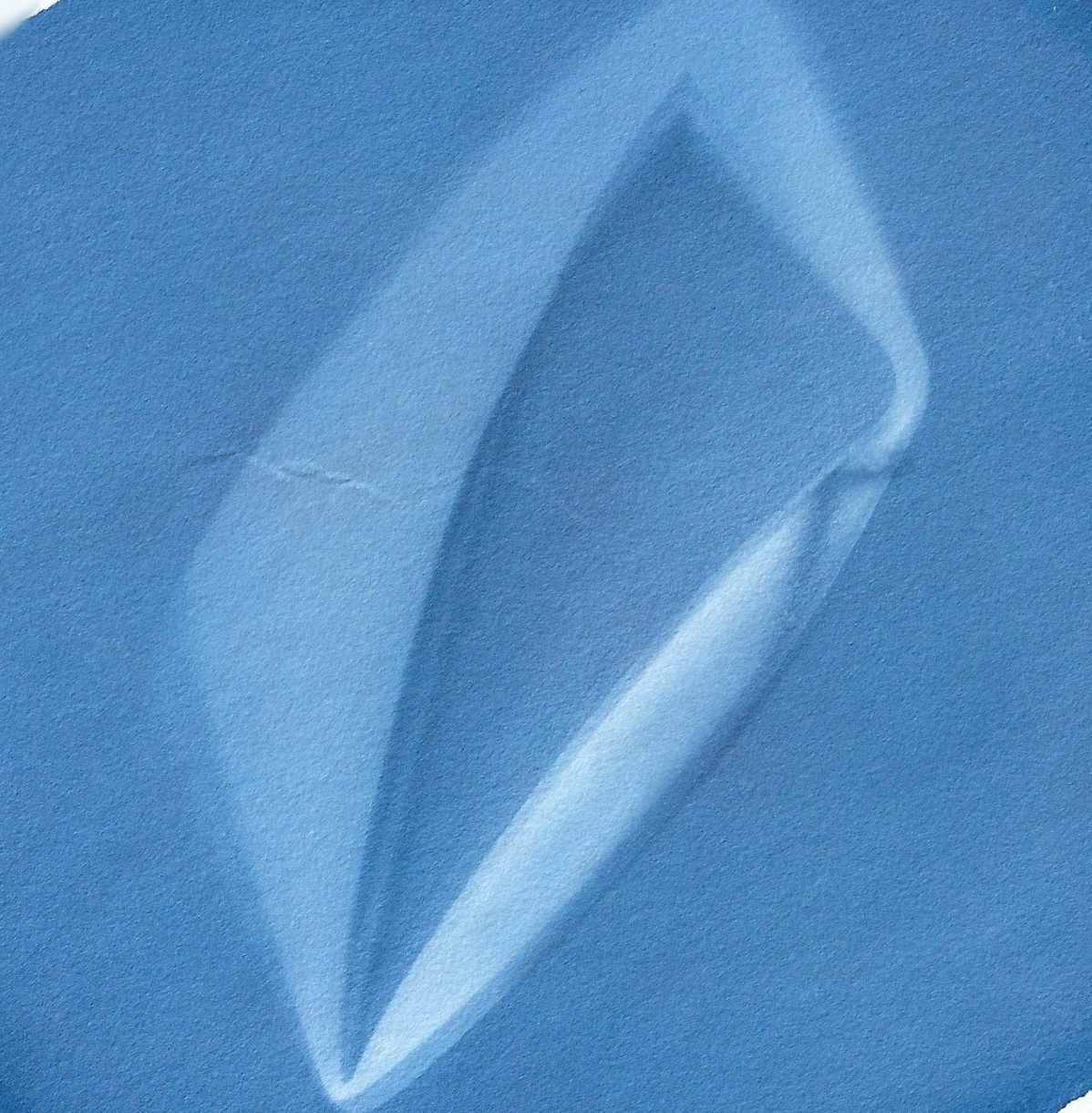 cyanotype 1