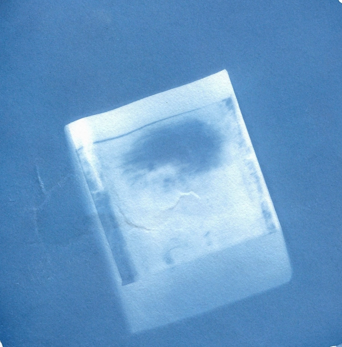 cyanotype 2