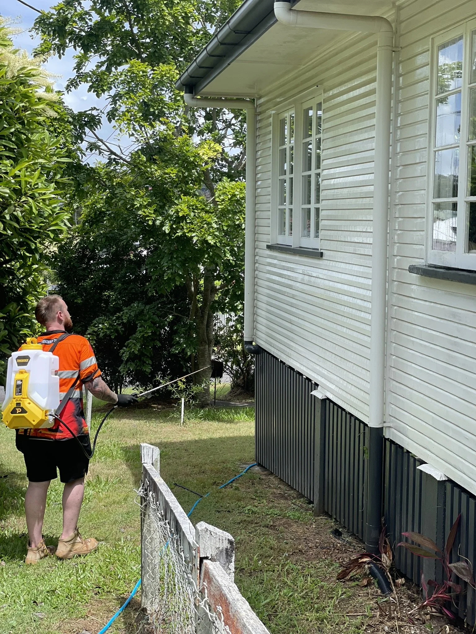 Exterior house cleaning Mount Gravatt