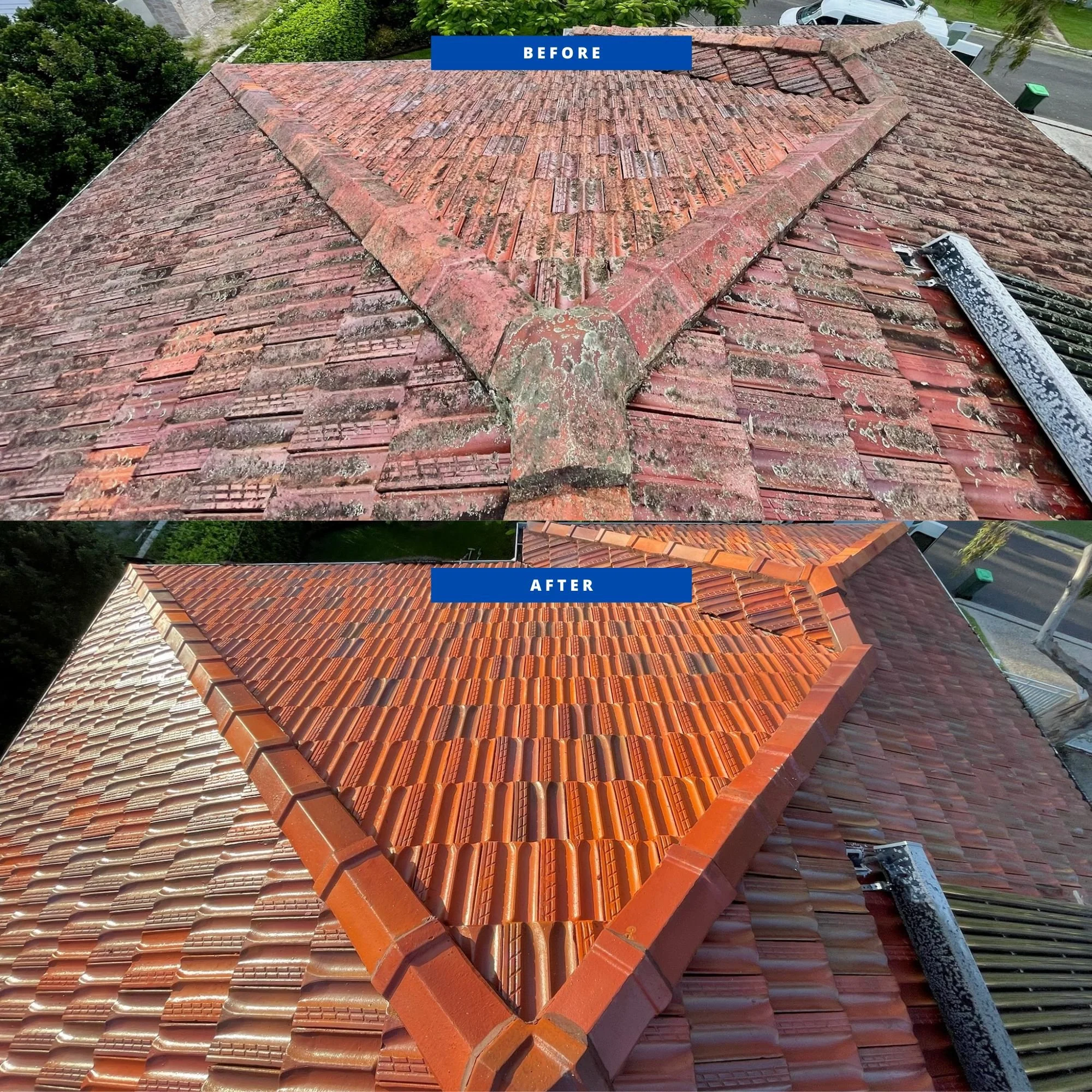 Before and After 2 (2).jpg