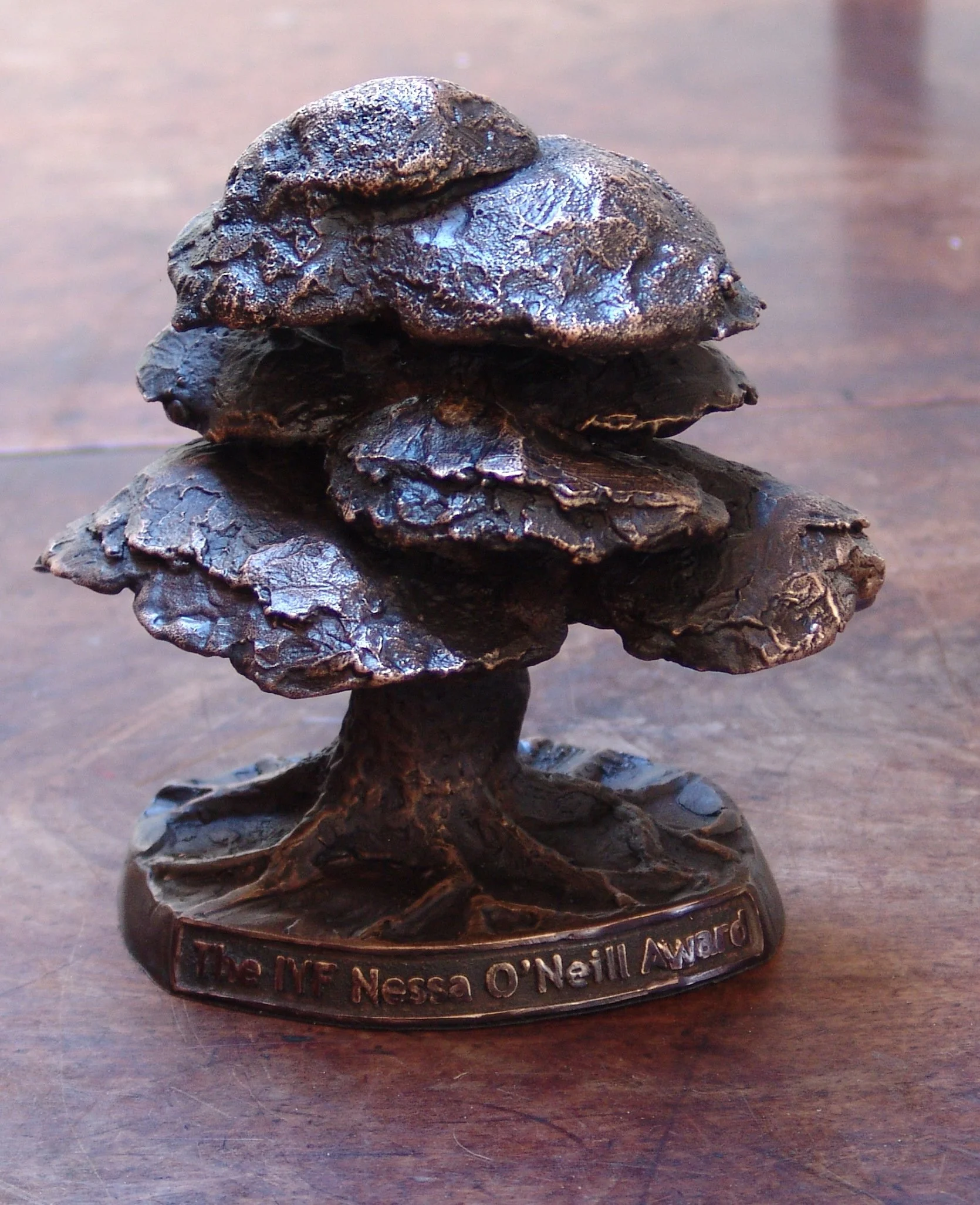 Commissioned Award made for Irish Youth Foundation 