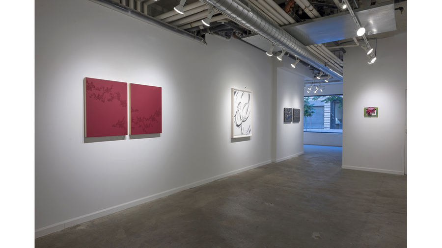  Clockwise from left: Taney Roniger, Andreas Kocks, Walter Biggs, Jamie Powell 