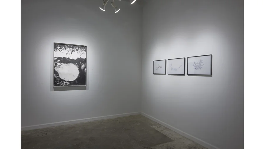  Clockwise from left: Jian-Jun Zhang and Magdalen Wong 