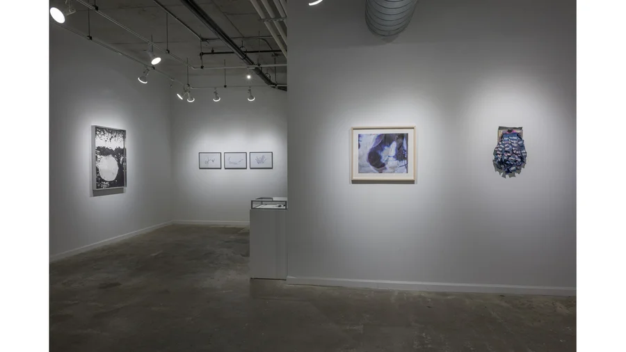  Clockwise from left: Jian-Jun Zhang, Magdalen Wong, Nene Humphrey, Jamie Powell 