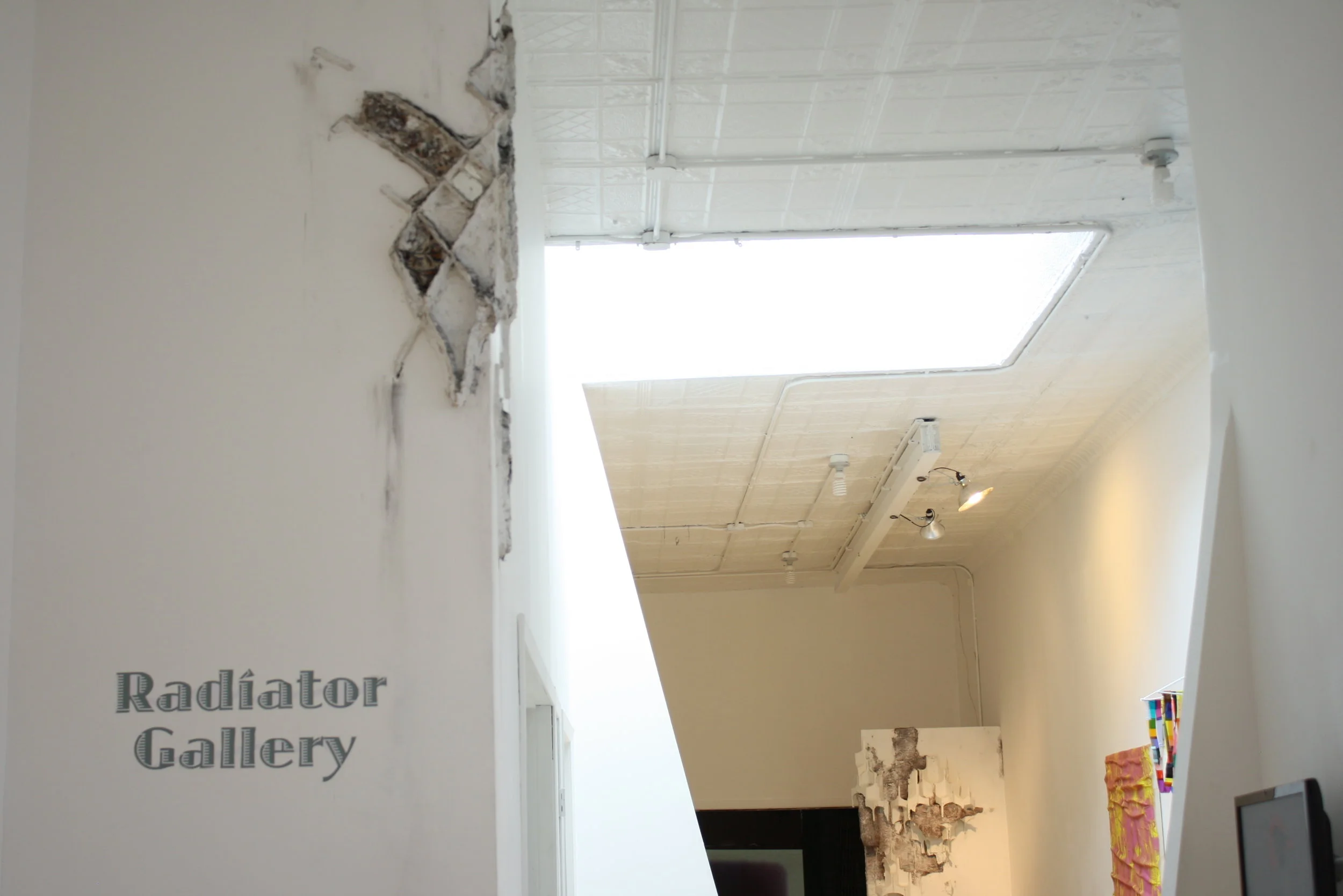  Clockwise from left: Armita Raafat, Stephanie Loveless, Armita Raafat, Angel Otero, Rachel Hayes, Miryana Todorova 